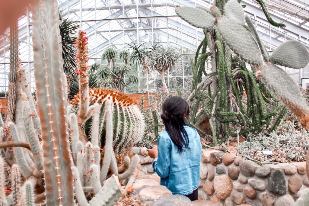 The Joys of&nbsp;Greenhouses