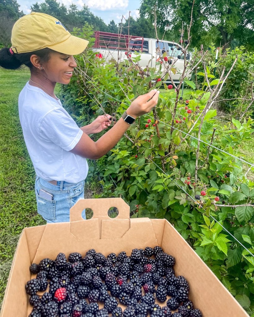 blackberries, blackberry picking, picking berries, posing ideas for picking fruit, food photography, blogger posing ideas